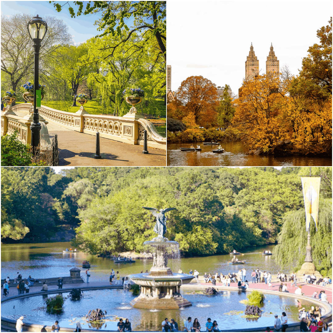 Central Park New York Guide (Best Places to Relax & Things to Do – 2026)