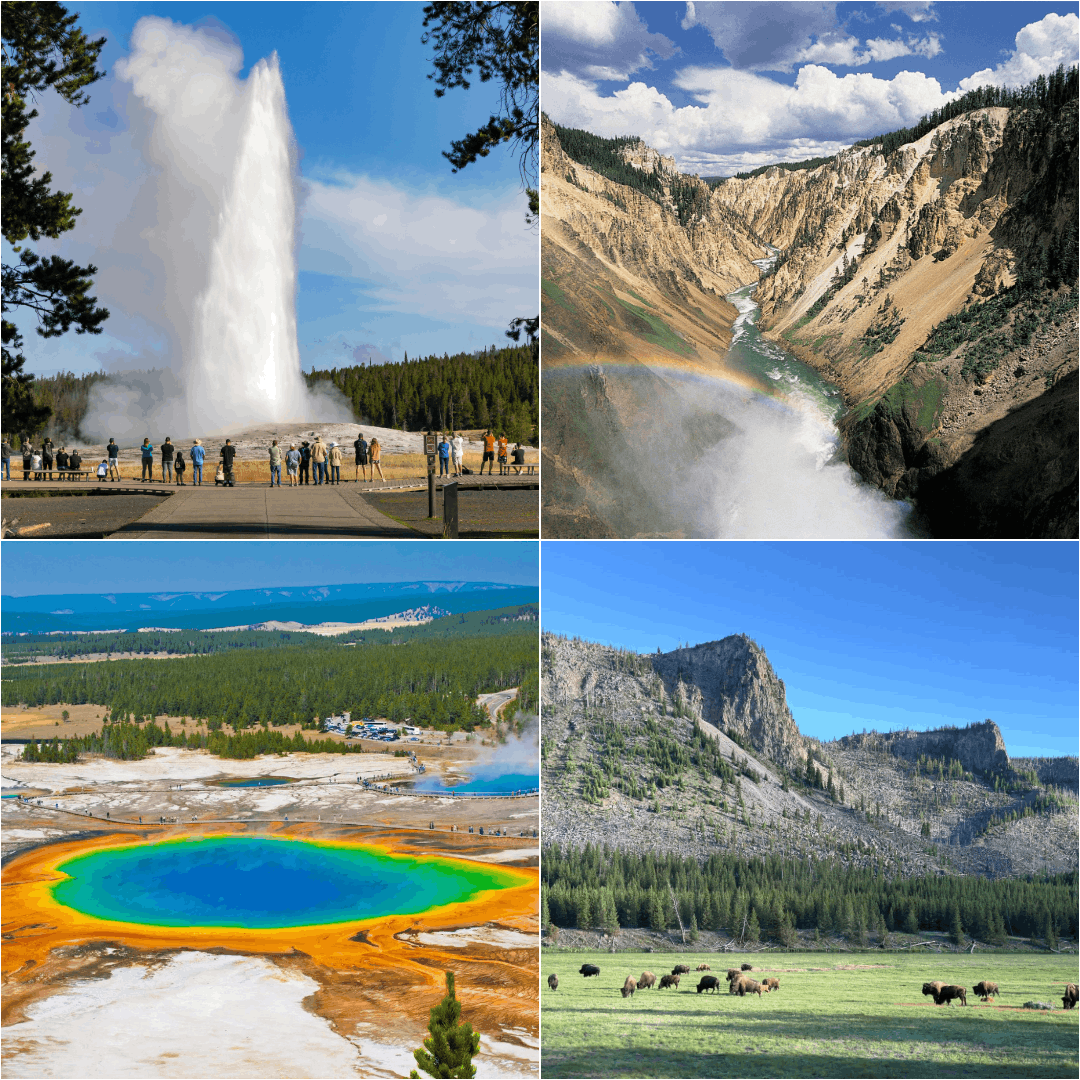 Yellowstone National Park Travel Guide: Geysers, Wildlife & Scenic Views
